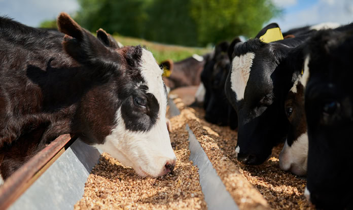 service_details?id=3